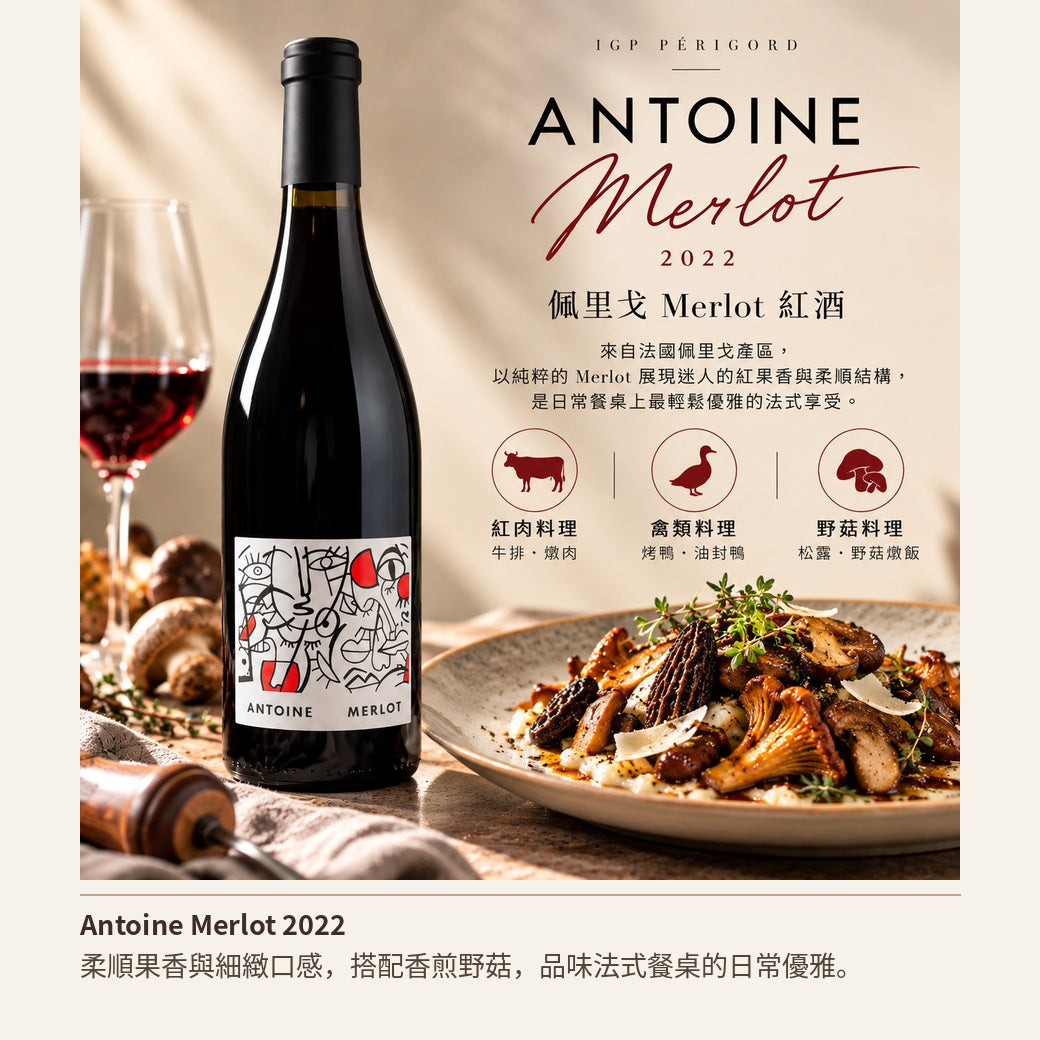 Antoine Merlot 2022｜一款以家族之名釀造的法國紅酒，認識佩里戈 Merlot 的溫柔風格