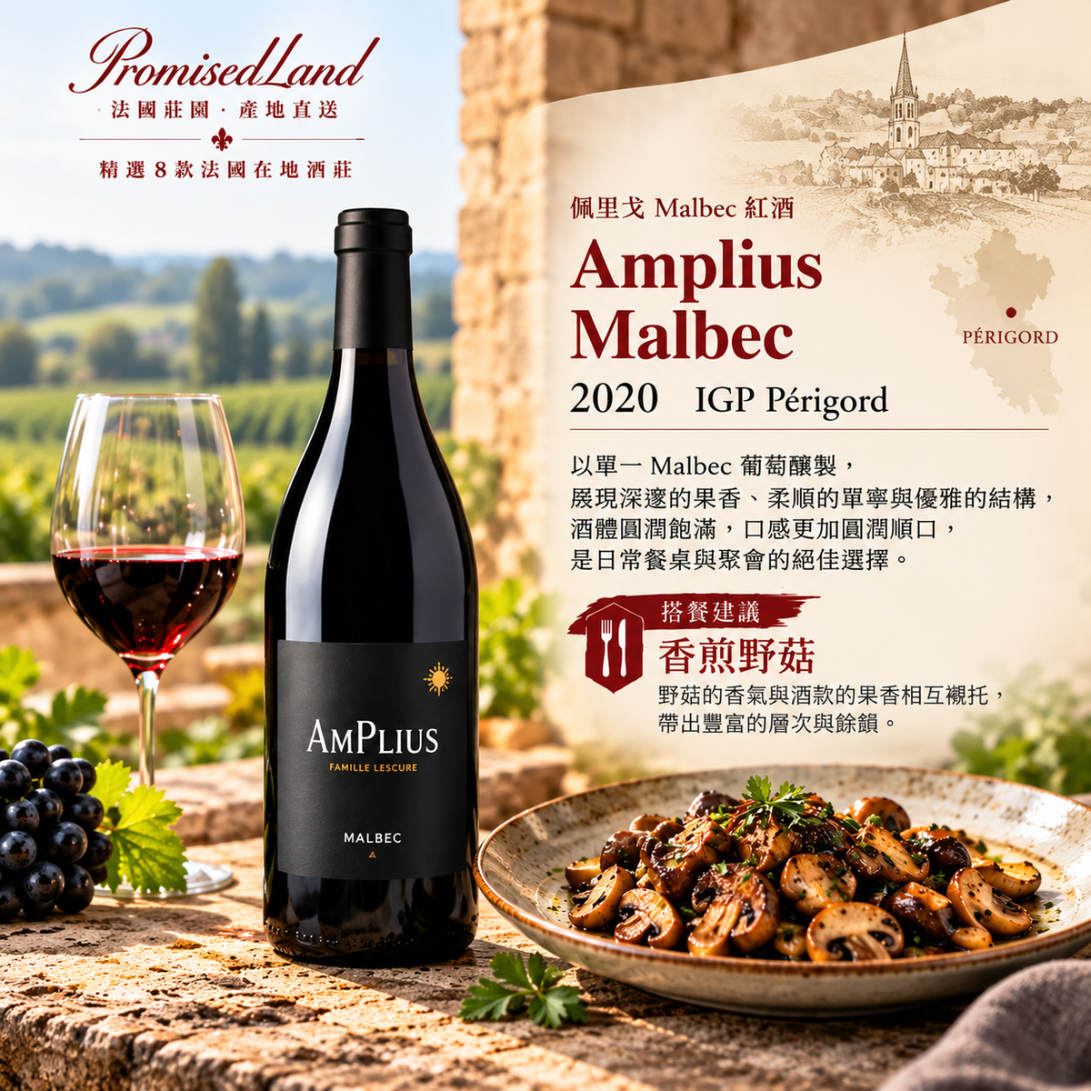 當 Malbec 回到法國｜Amplius 2020，一瓶重新認識 Malbec 的酒